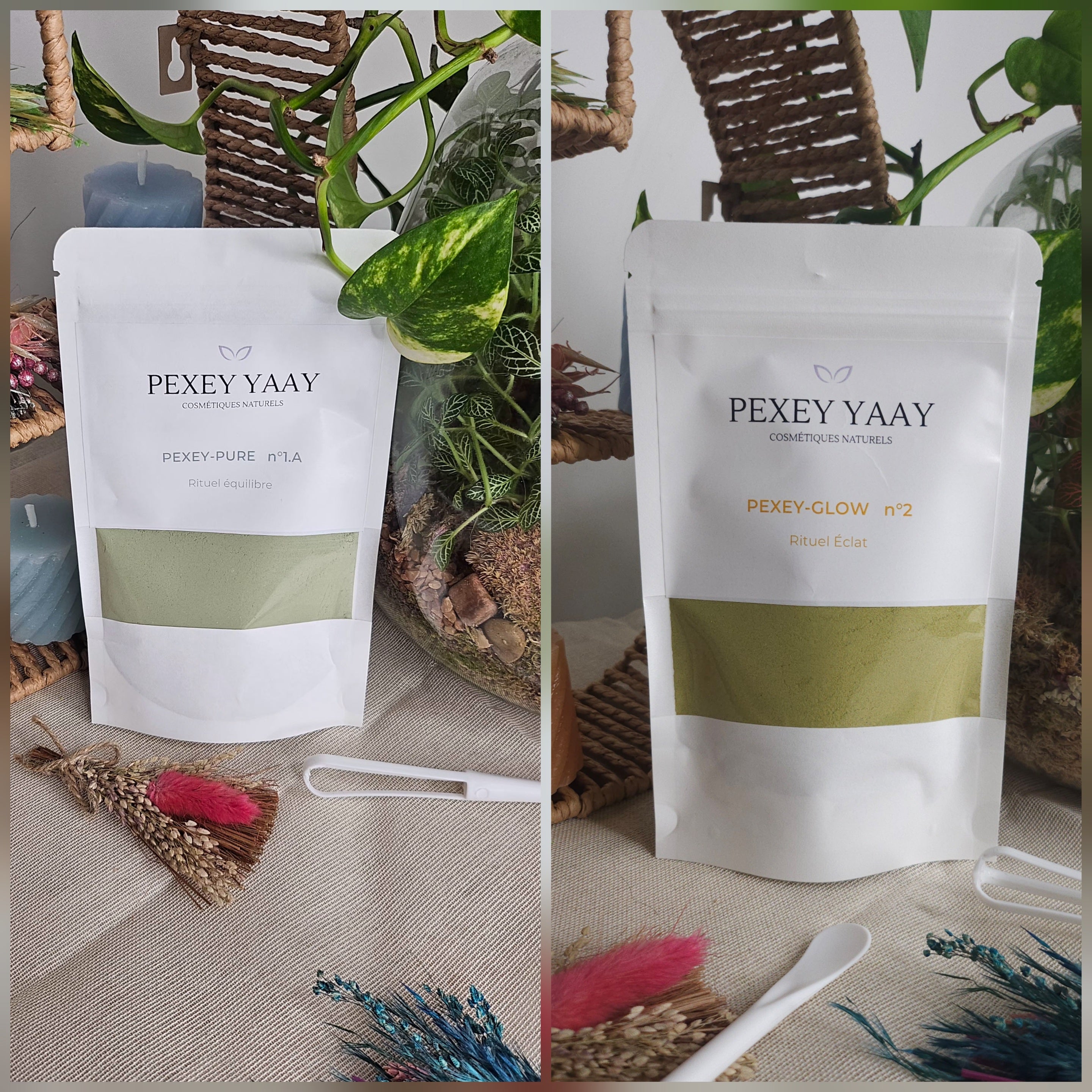 Duo Lumière d'Orient - Pexey Yaay (Éclat Immédiat)