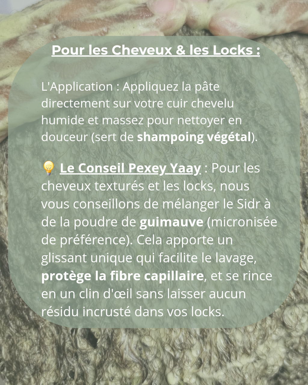 LE SIDR (Poudre de jujubier)| Nettoyant & Soin Protecteur