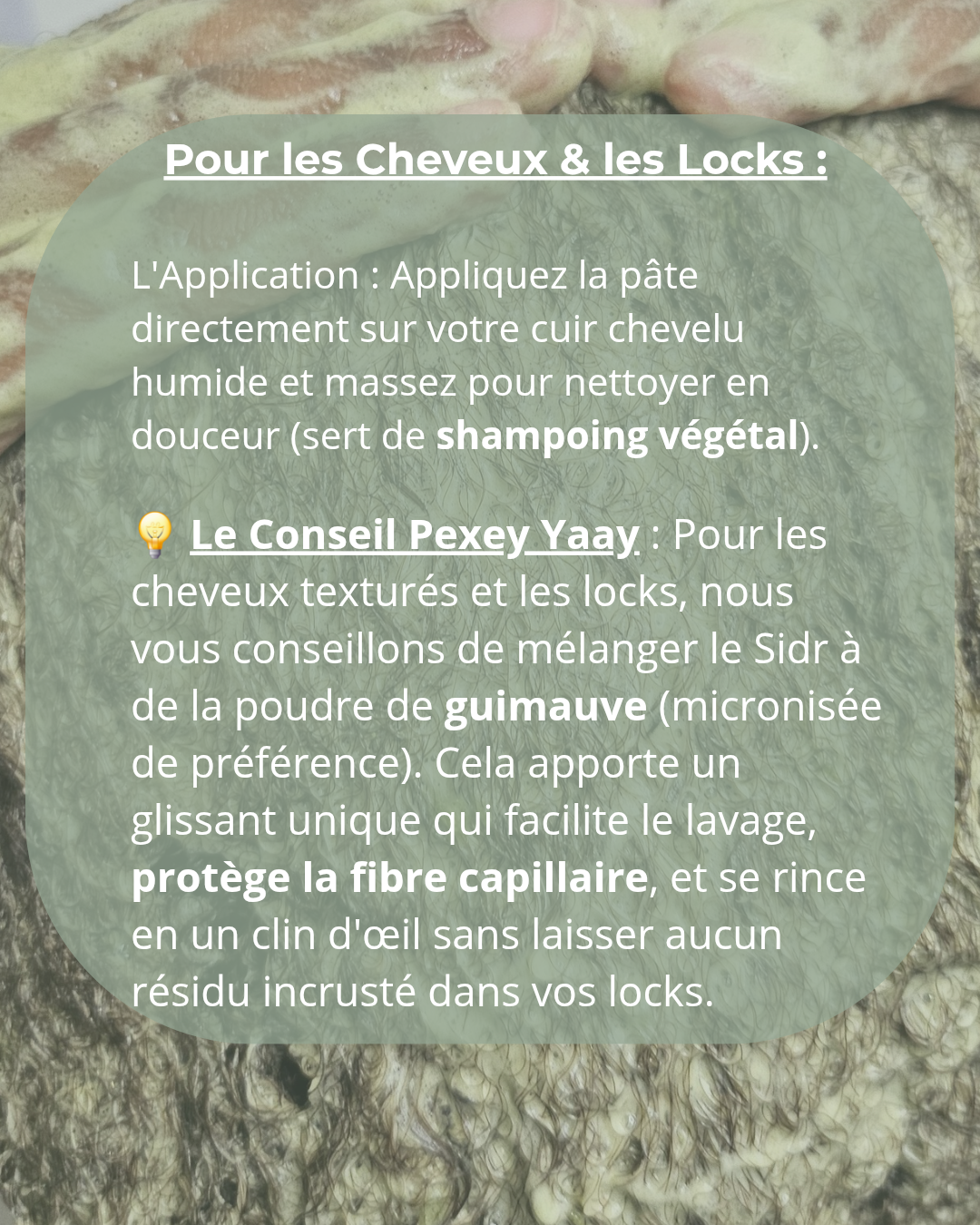 LE SIDR (Poudre de jujubier)| Nettoyant & Soin Protecteur